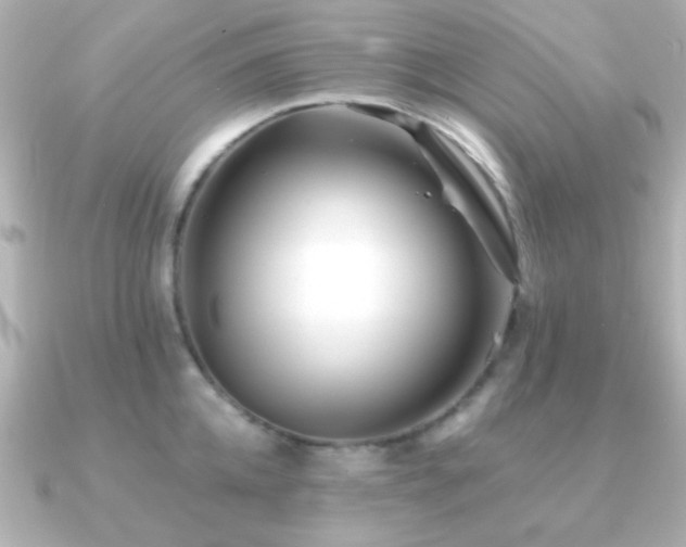 X0000091170952200708091202