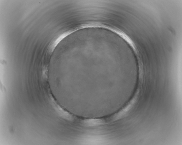 X0000091170953200708091202