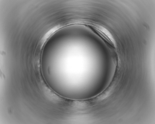 X0000091170954200708091202