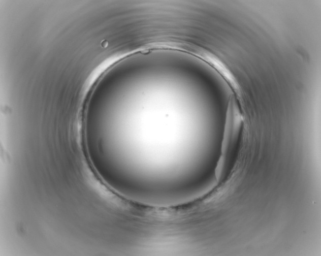X0000091170955200708091202
