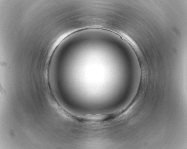 X0000091170956200708091202