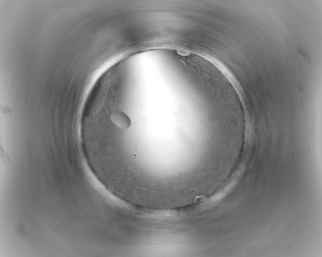 X0000091170957200708091202