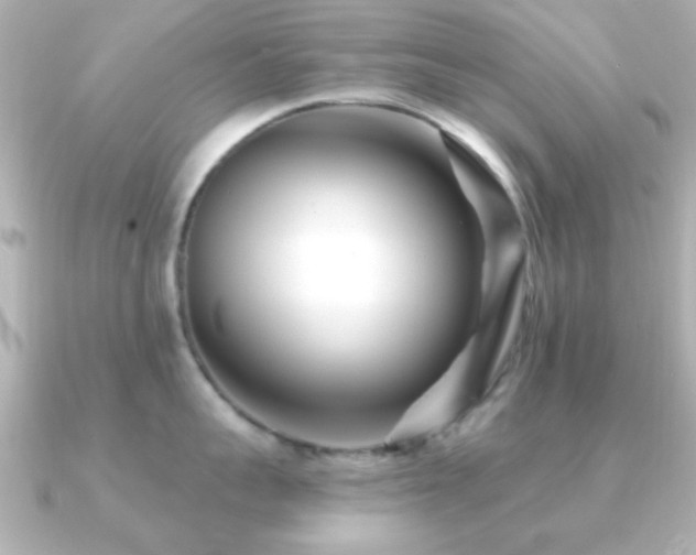 X0000091170959200708091202