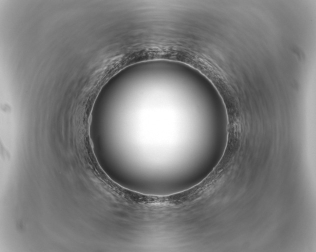 X0000091170961200708091201