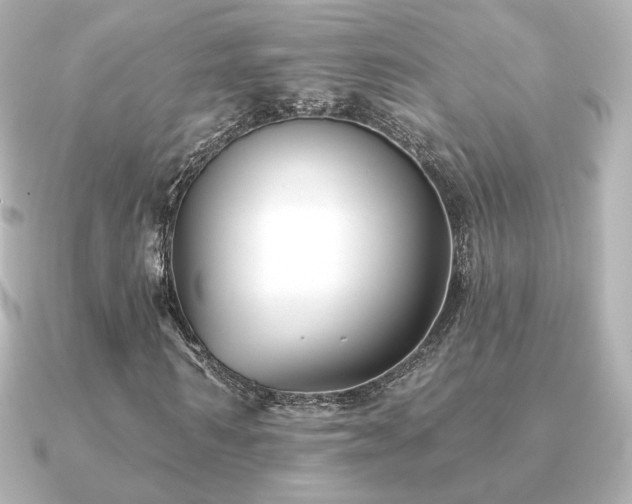 X0000091170962200708091201