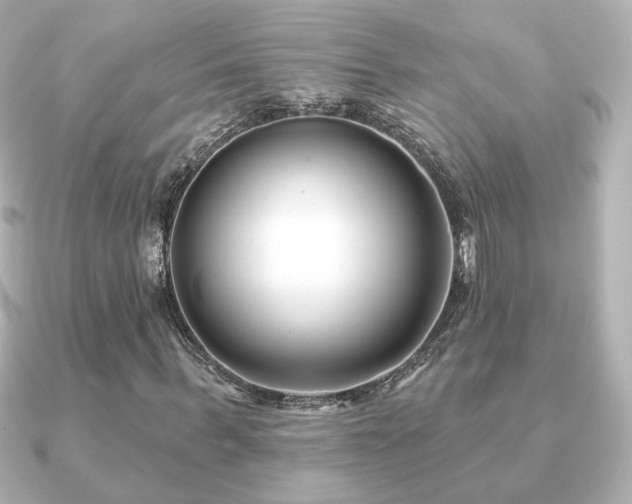 X0000091170963200708091201