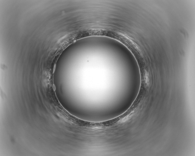 X0000091170964200708091201
