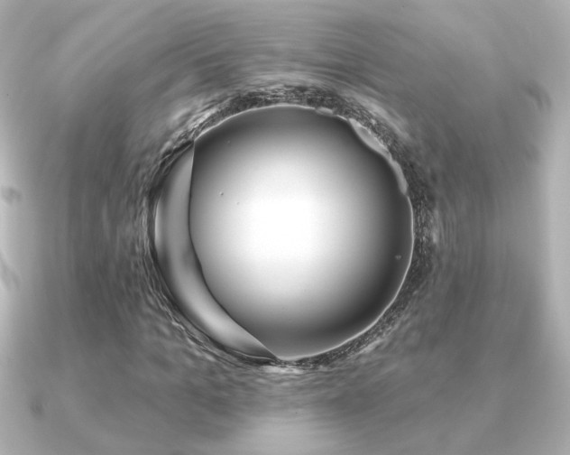 X0000091170965200708091201