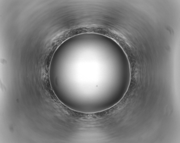 X0000091170966200708091201