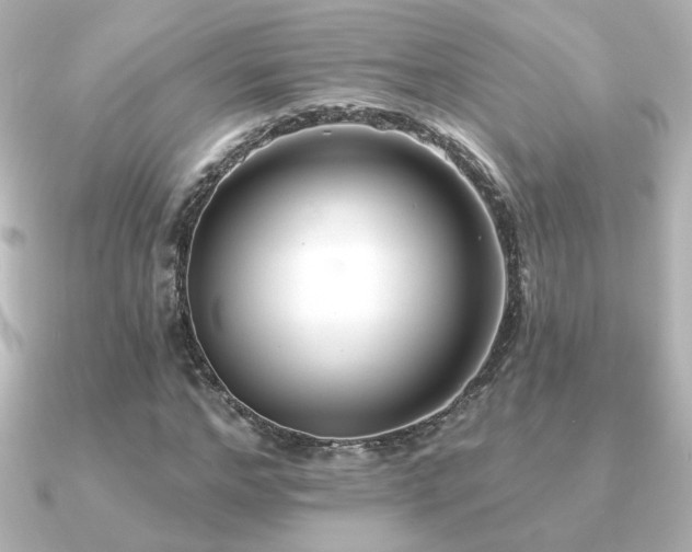 X0000091170968200708091201