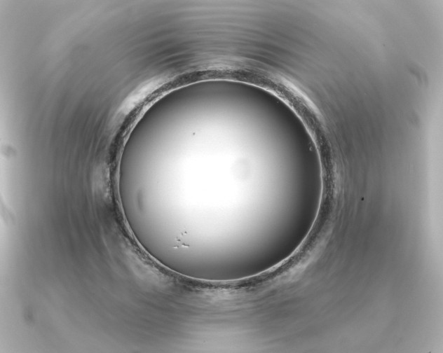 X0000091170970200708091201