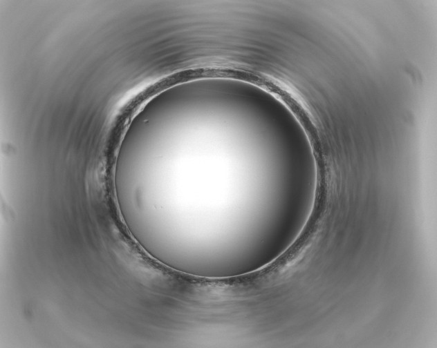 X0000091170971200708091201