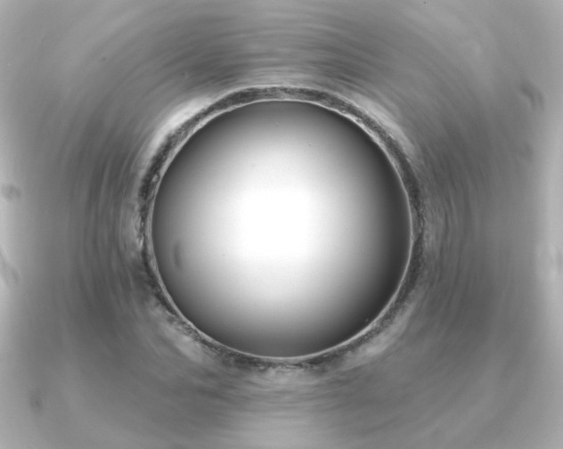 X0000091170974200708091201