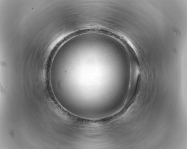 X0000091170975200708091201