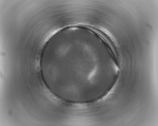 X0000091170977200708091201