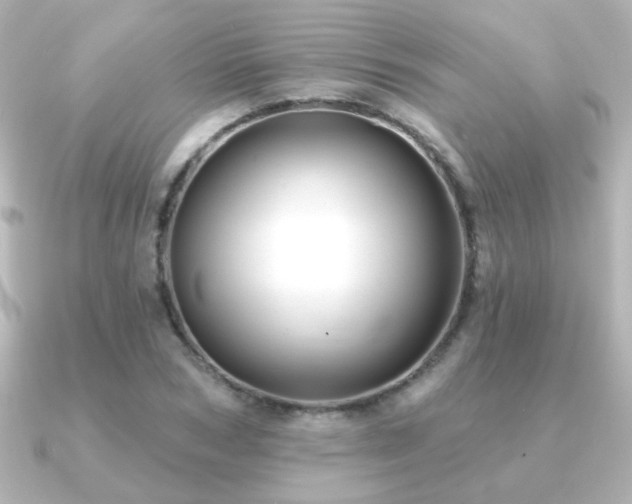 X0000091170978200708091201