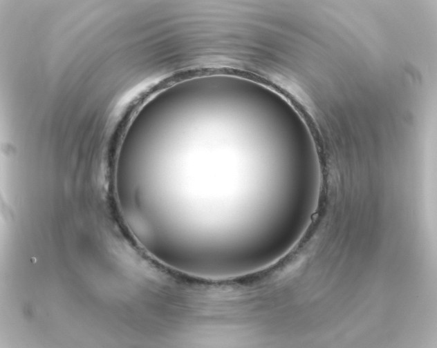 X0000091170979200708091201
