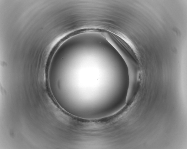 X0000091170980200708091201