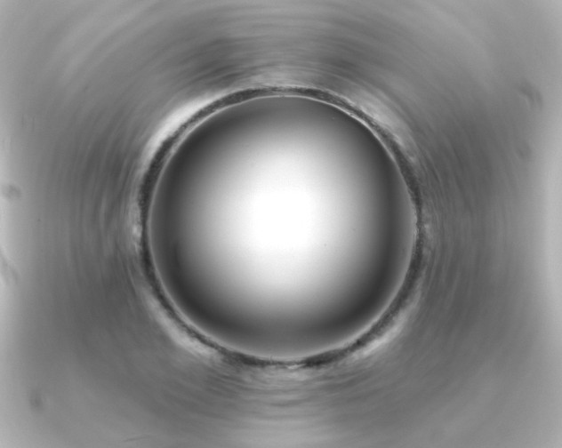 X0000091170981200708091201