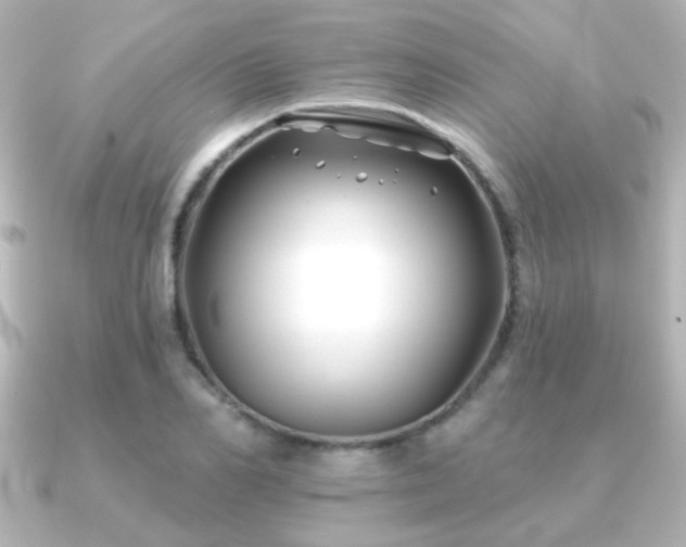 X0000091170982200708091201