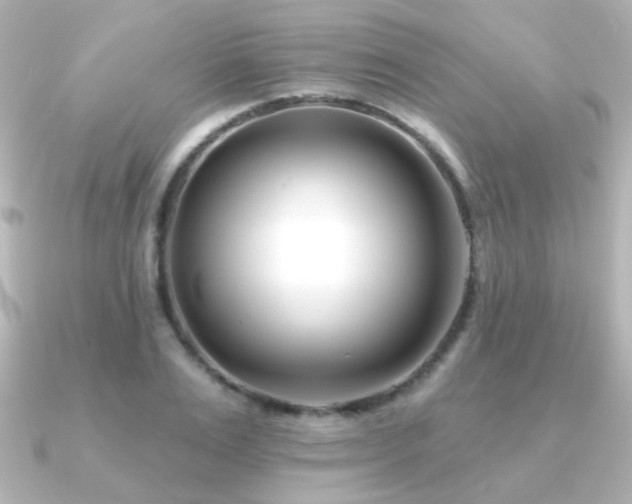 X0000091170983200708091201