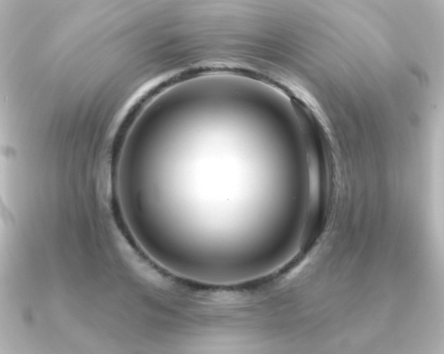 X0000091170984200708091201