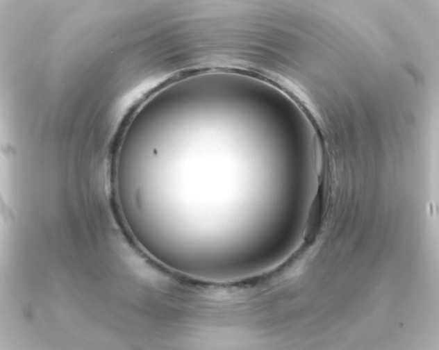 X0000091170987200708091201