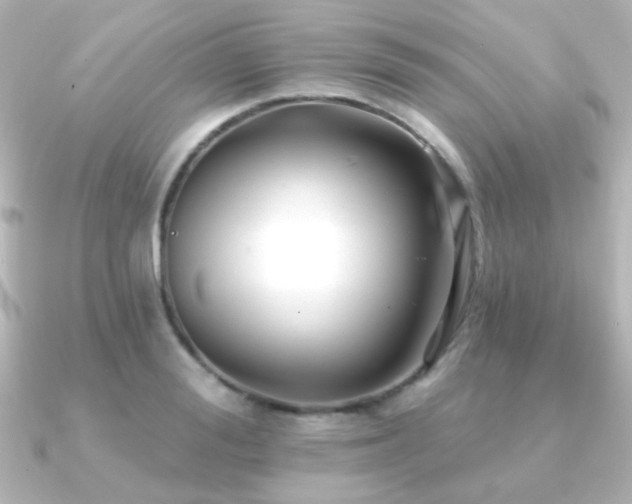 X0000091170988200708091201
