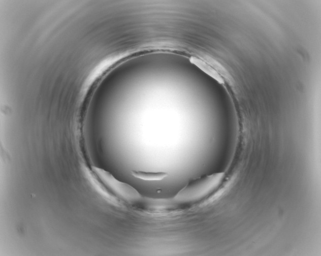 X0000091170989200708091201