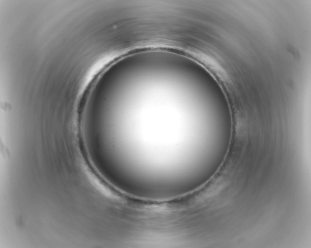 X0000091170990200708091201