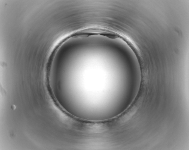 X0000091170991200708091201