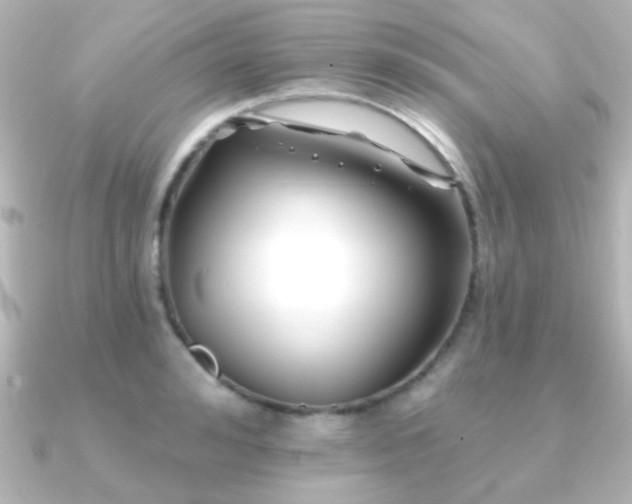 X0000091170992200708091201