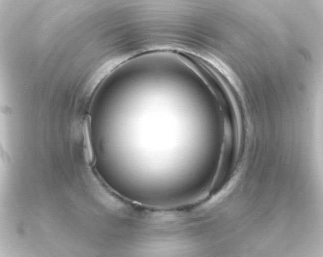 X0000091170993200708091201