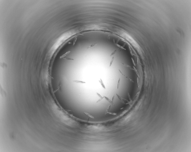 X0000091170994200708091201