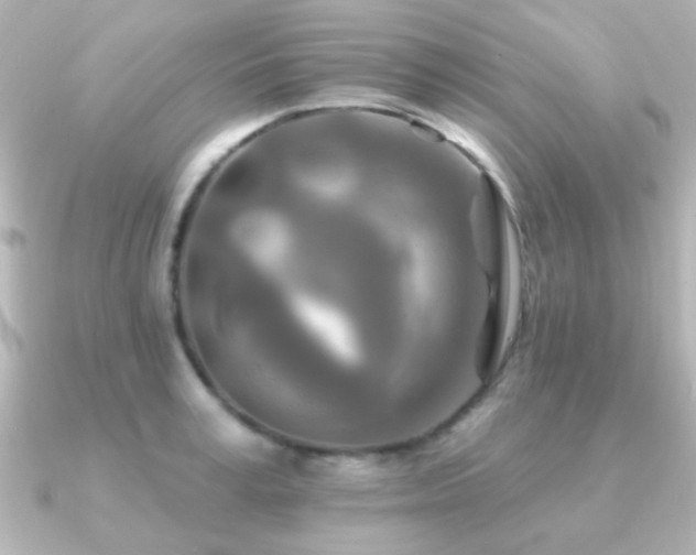 X0000091170995200708091201