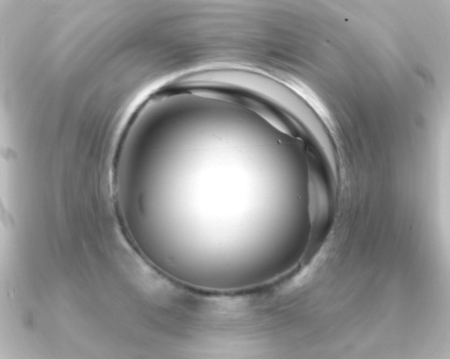 X0000091170996200708091201