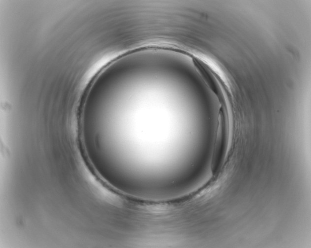 X0000091170999200708091201