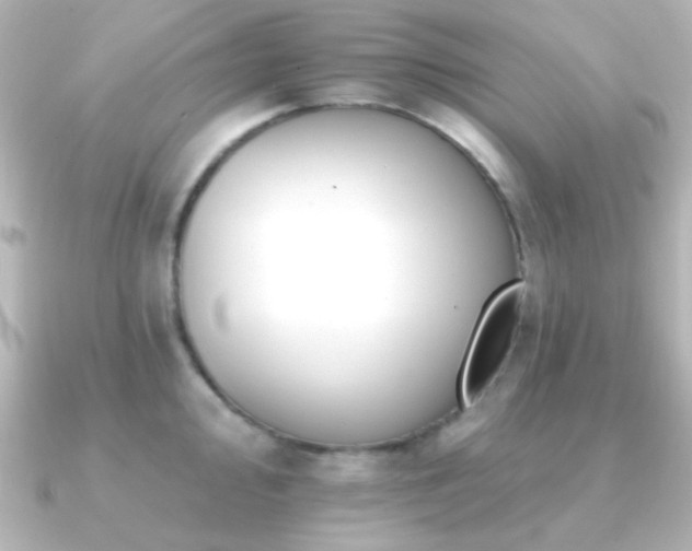 X0000091171000200708091201