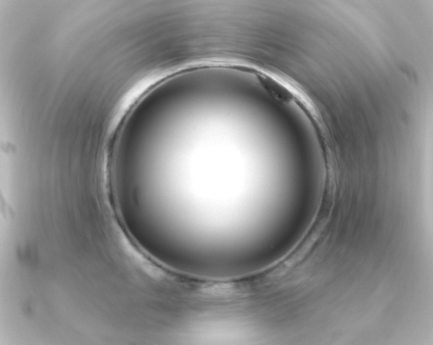 X0000091171006200708091201