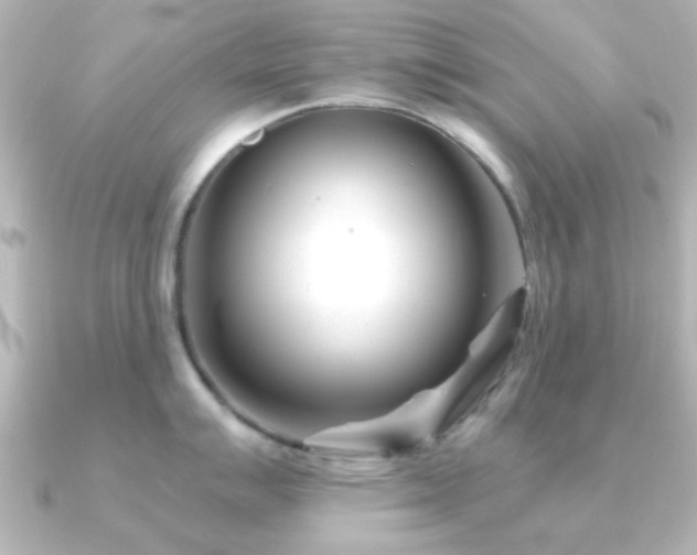 X0000091171007200708091201