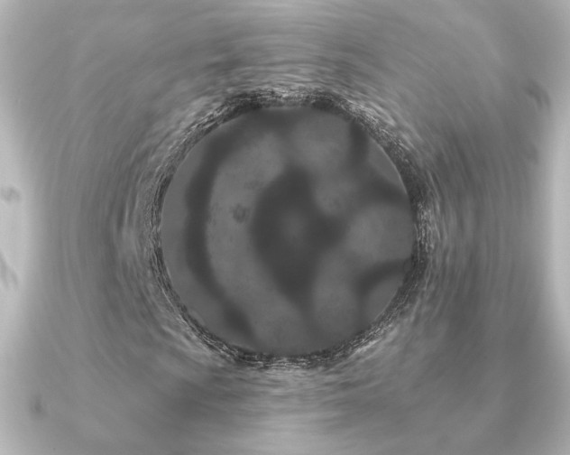 X0000091171009200708091200