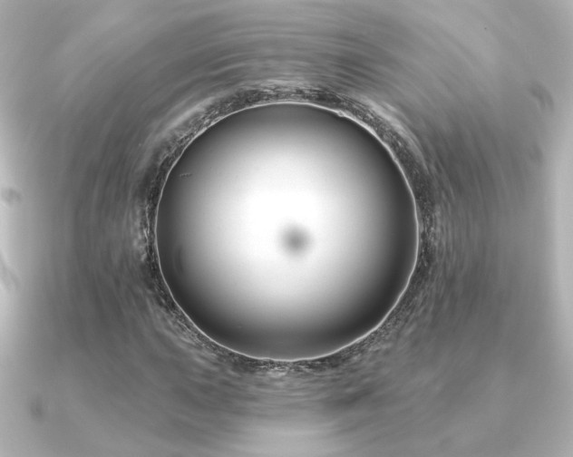 X0000091171015200708091200
