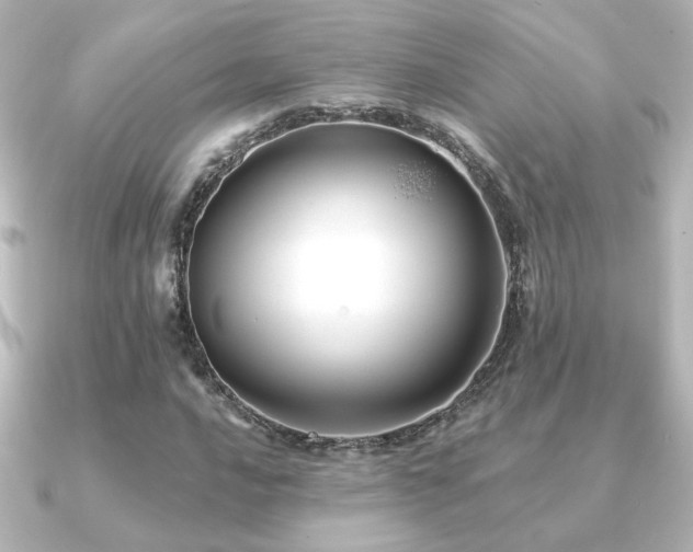 X0000091171016200708091200