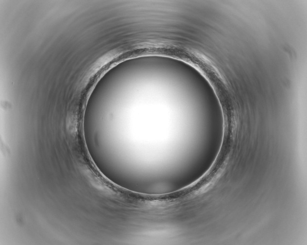 X0000091171017200708091200