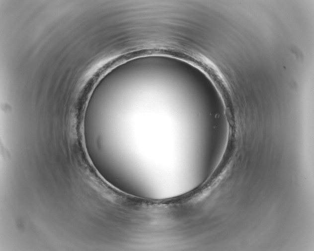 X0000091171019200708091200
