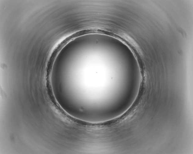 X0000091171020200708091200