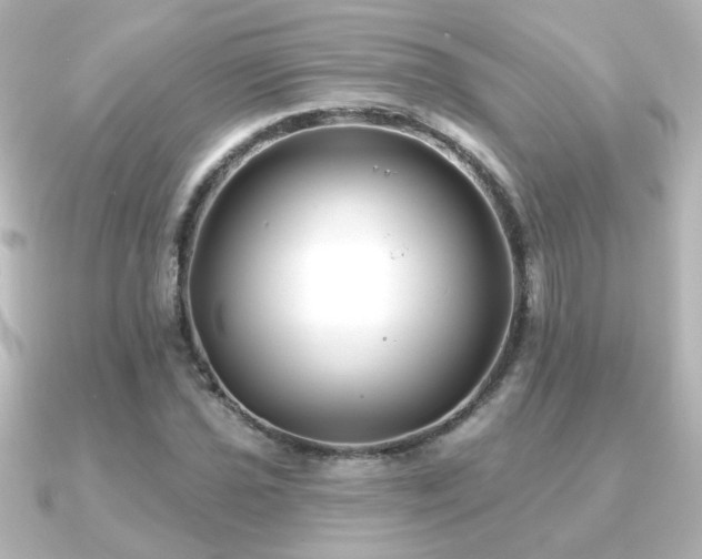 X0000091171021200708091200