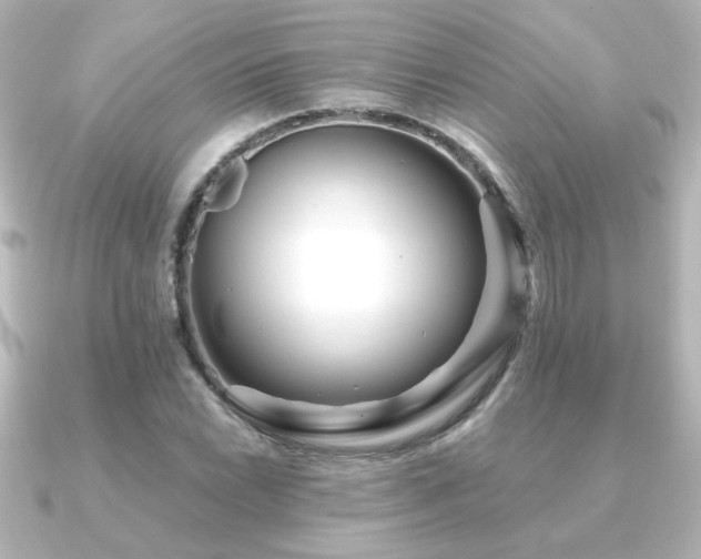 X0000091171022200708091200