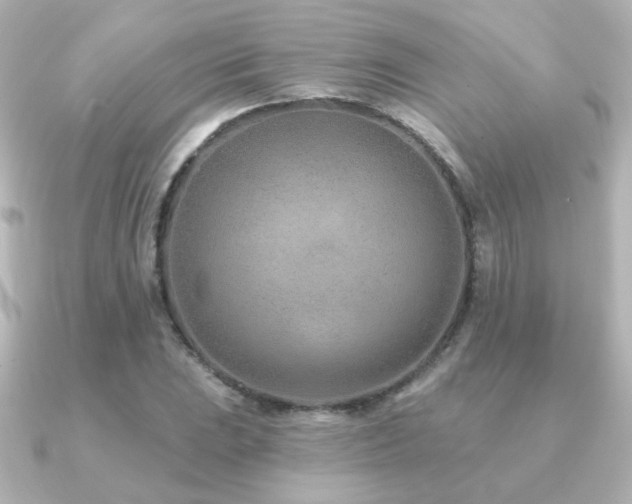 X0000091171023200708091200