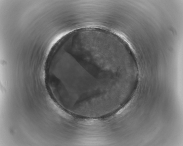 X0000091171024200708091200